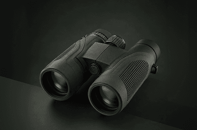 RidgeView 10x42 Binoculars